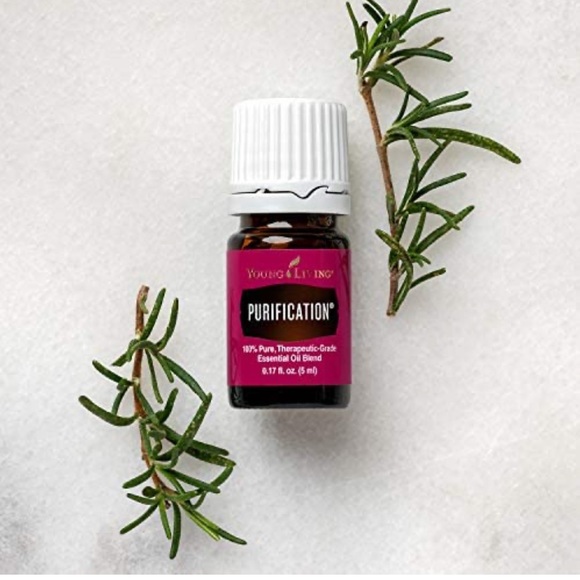 🆕 Young Living Purification Essential Oil 5ml 🌱